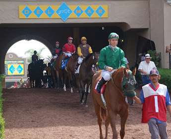 Tunnel at Del Mar