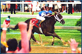 Smarty Jones in Preakness