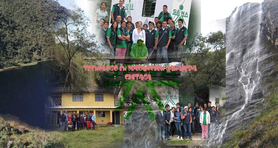 Tecnologia Produccion Ganadera Chitaga