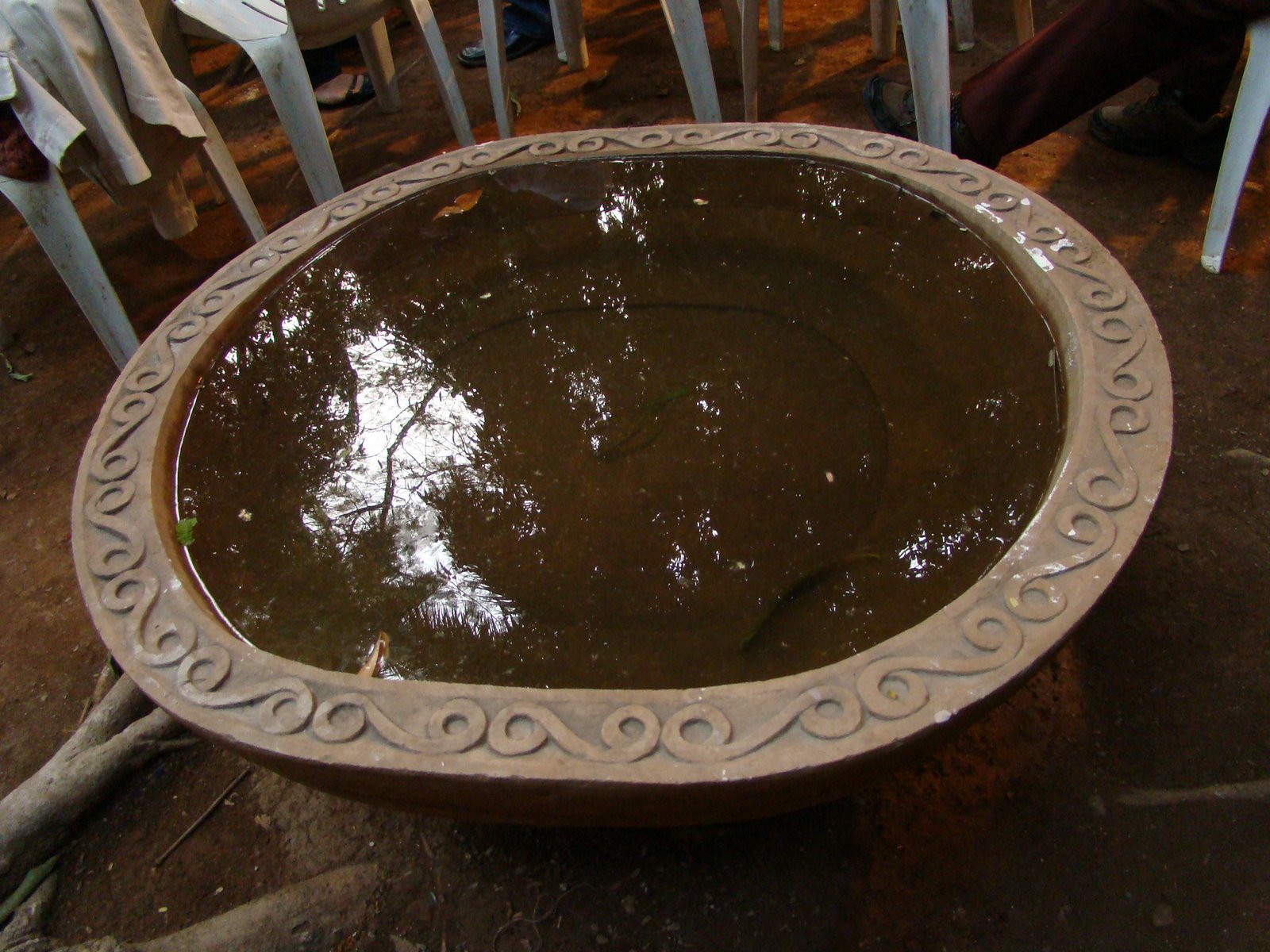 [DSC04737.JPG]