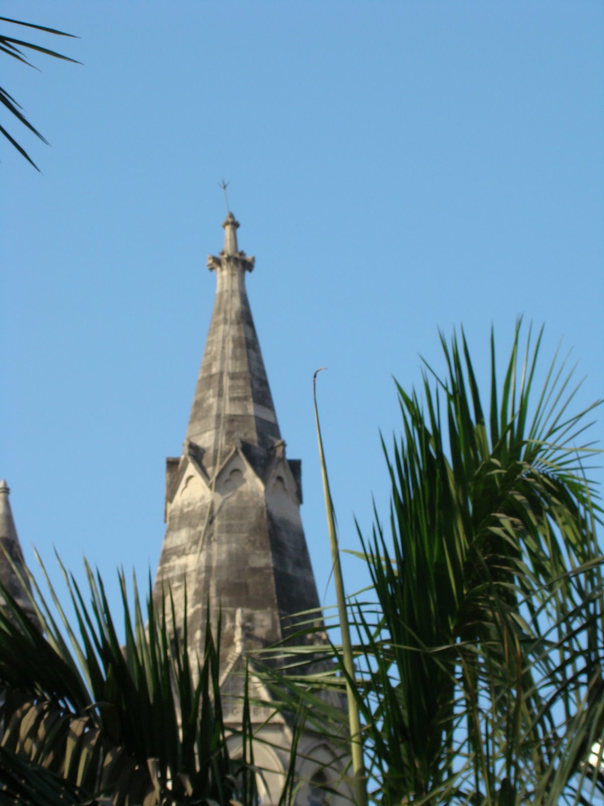 [DSC04774.JPG]