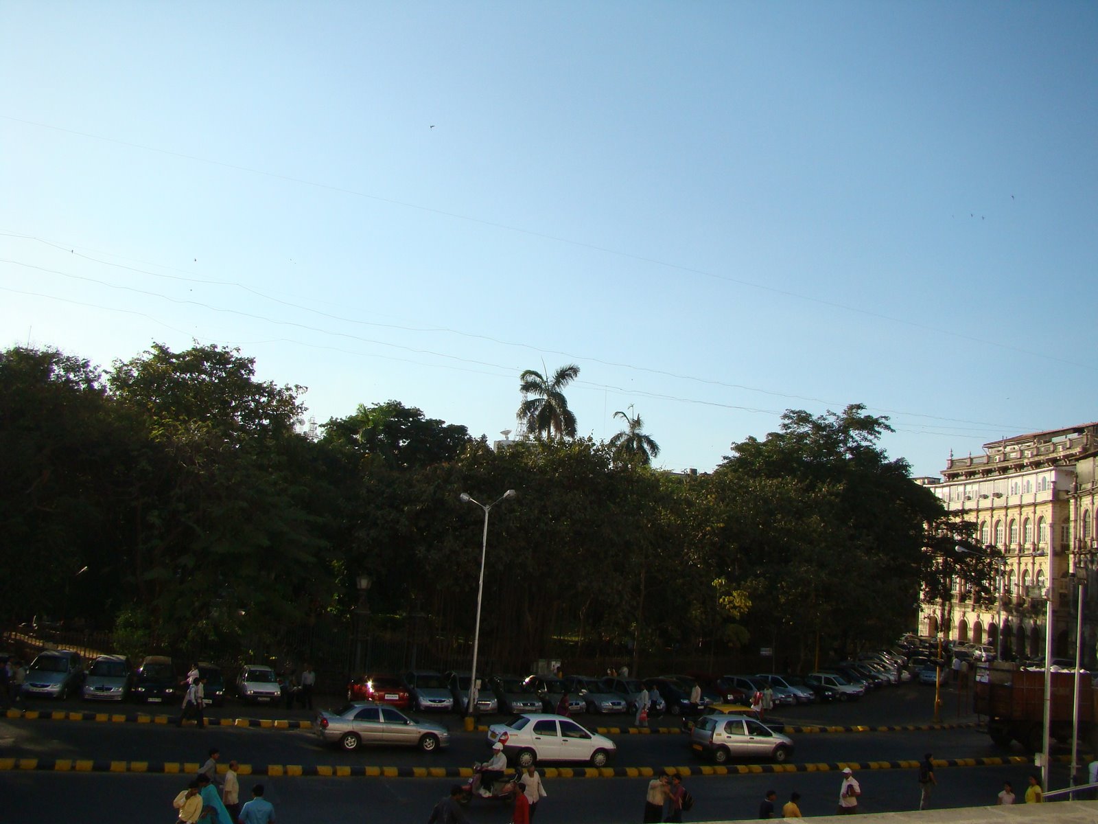 [DSC05253.JPG]