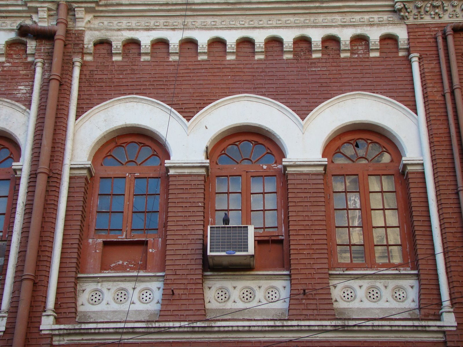 [DSC05011.JPG]