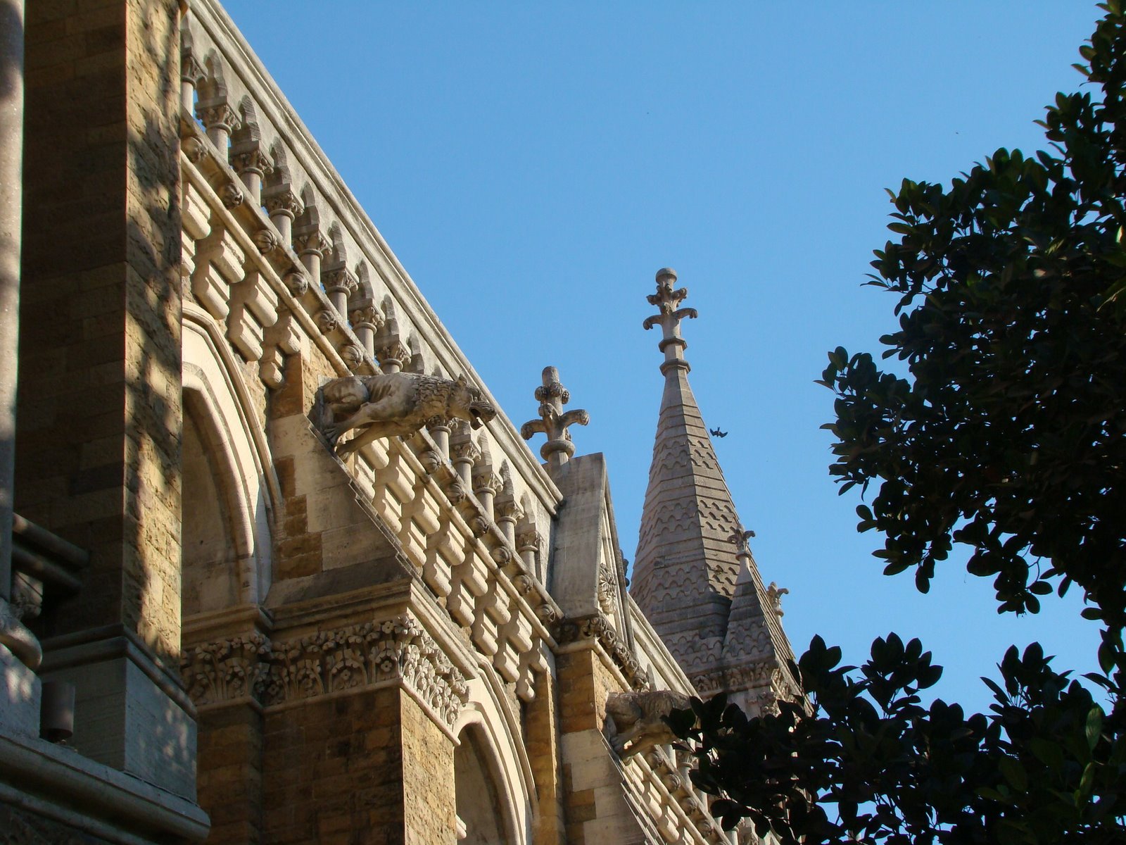 [DSC05370.JPG]