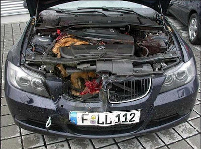 Funny bmw definitions #6