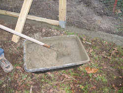 fence chicken under digging concrete pen wire animals visitor into trench