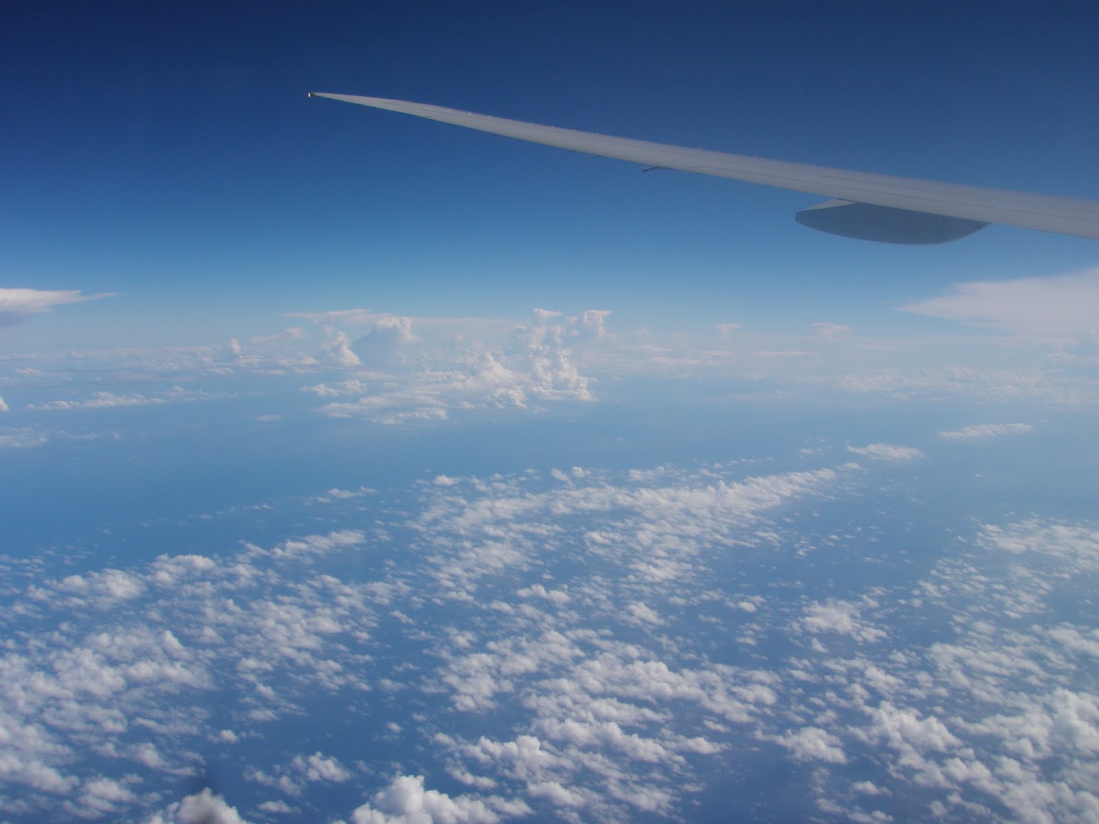 Flight to Korea and a Spanish lesson on board ~ Gone Seoul Searching