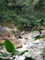 Rio Viejo, Costa Rica Rio Viejo, Costa Rica