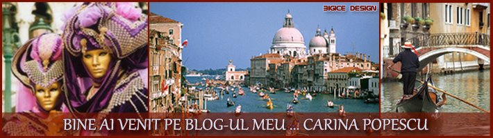 BINE AI VENIT PE BLOG-UL MEU ... CARINA POPESCU