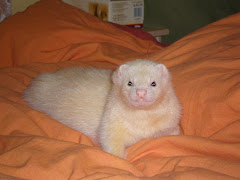 valentin