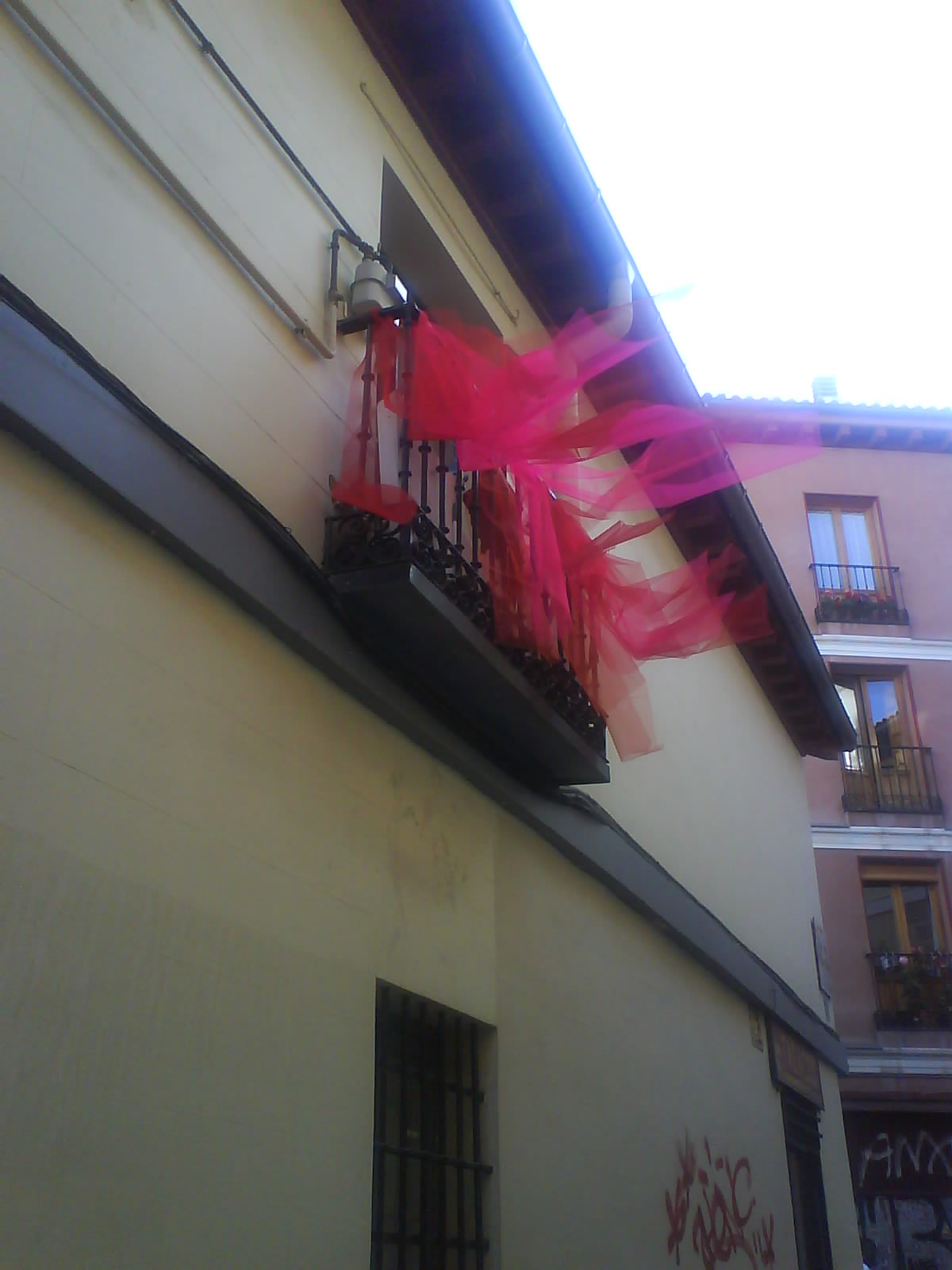 [DSC00195.JPG]