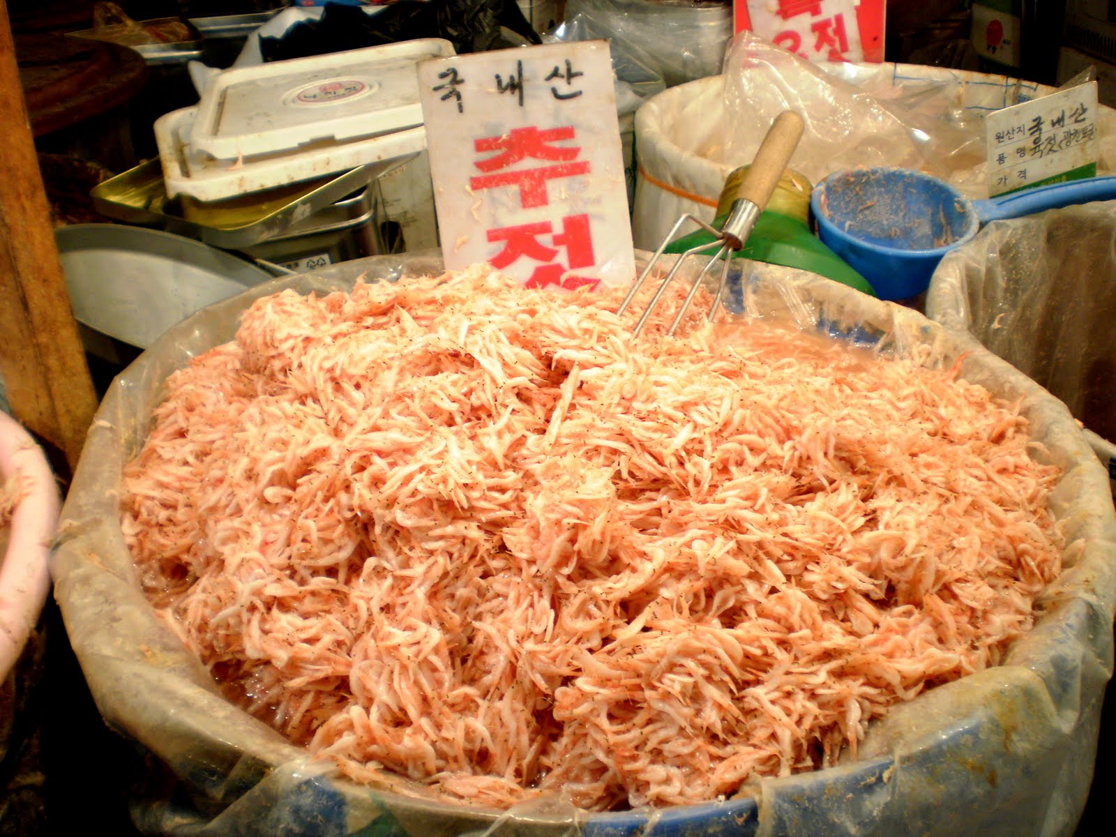St. Joe to Suji-gu: Field trips and fish markets