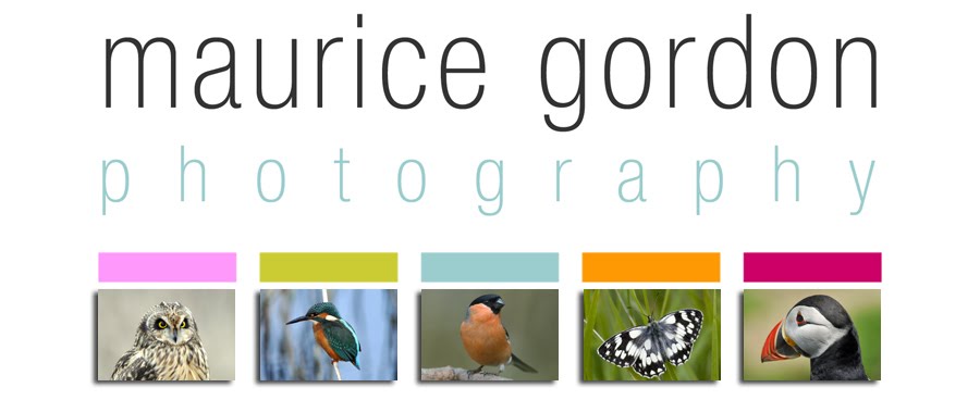 Maurice Gordon Photographic Tuition
