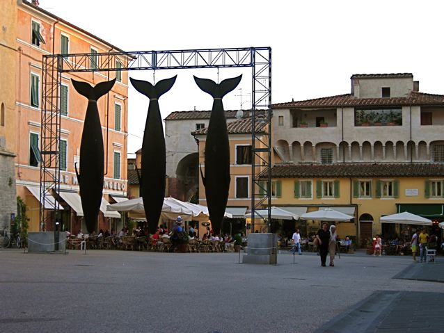 [DSCN4914.jpg]