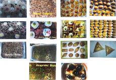 Artistic Brazilian Hors D'ouvres