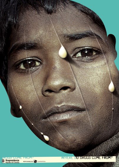 Responsabilidad Compartida / Amapola