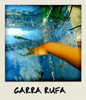 Garra Rufa