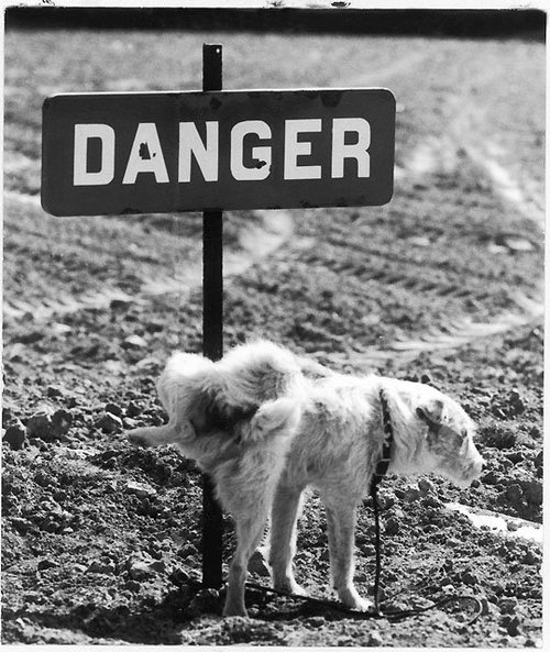 [memeoenelpeligro.jpg]