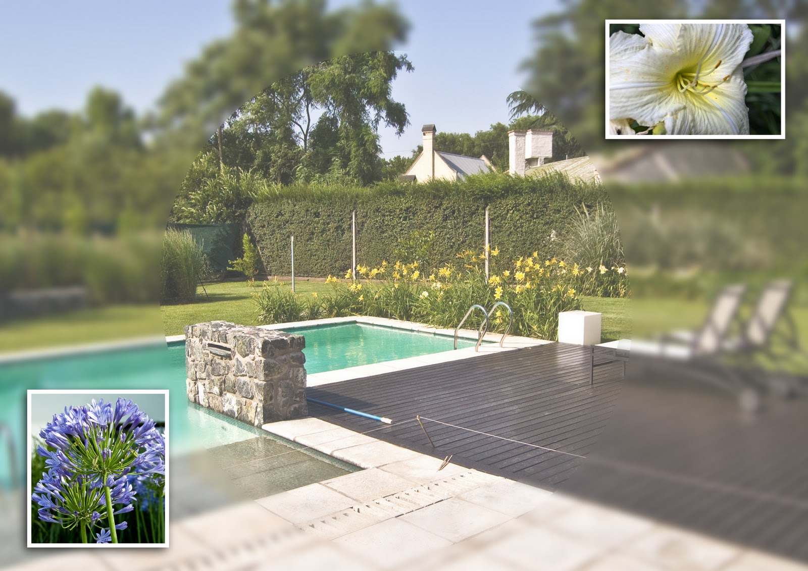 Jardines y paisajismo