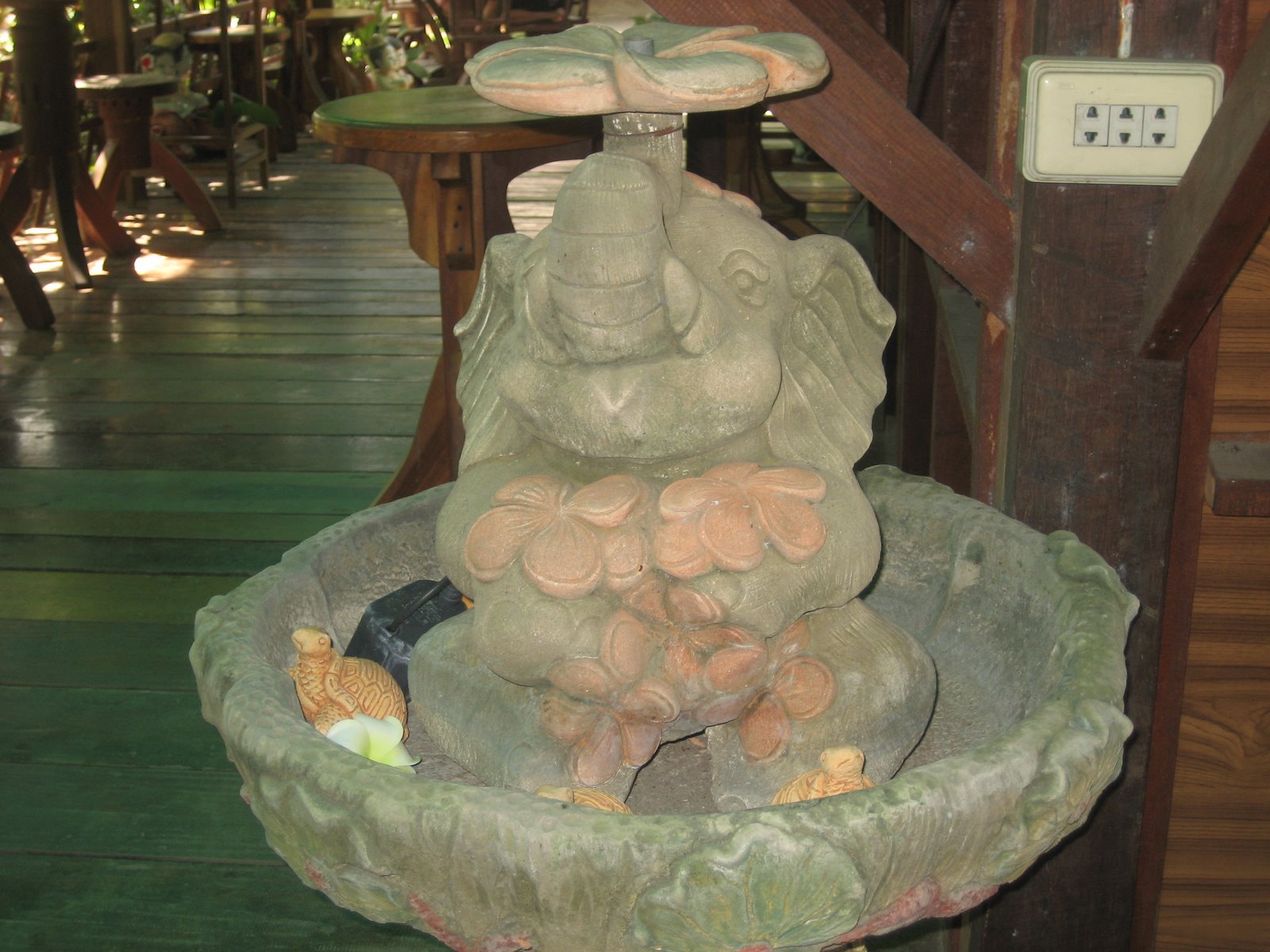 [IMG_3756.JPG]