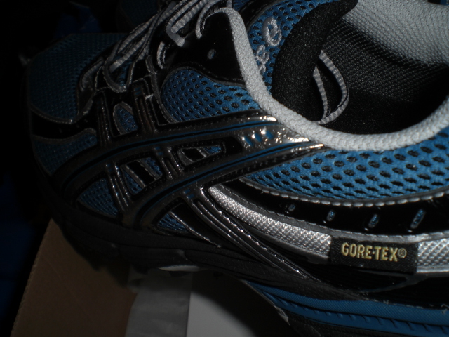 asics gel moriko gtx