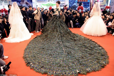Amazing Wedding Dresses on Peacock Dress Isn T This The Most Amazing Wedding Dress You Have Ever