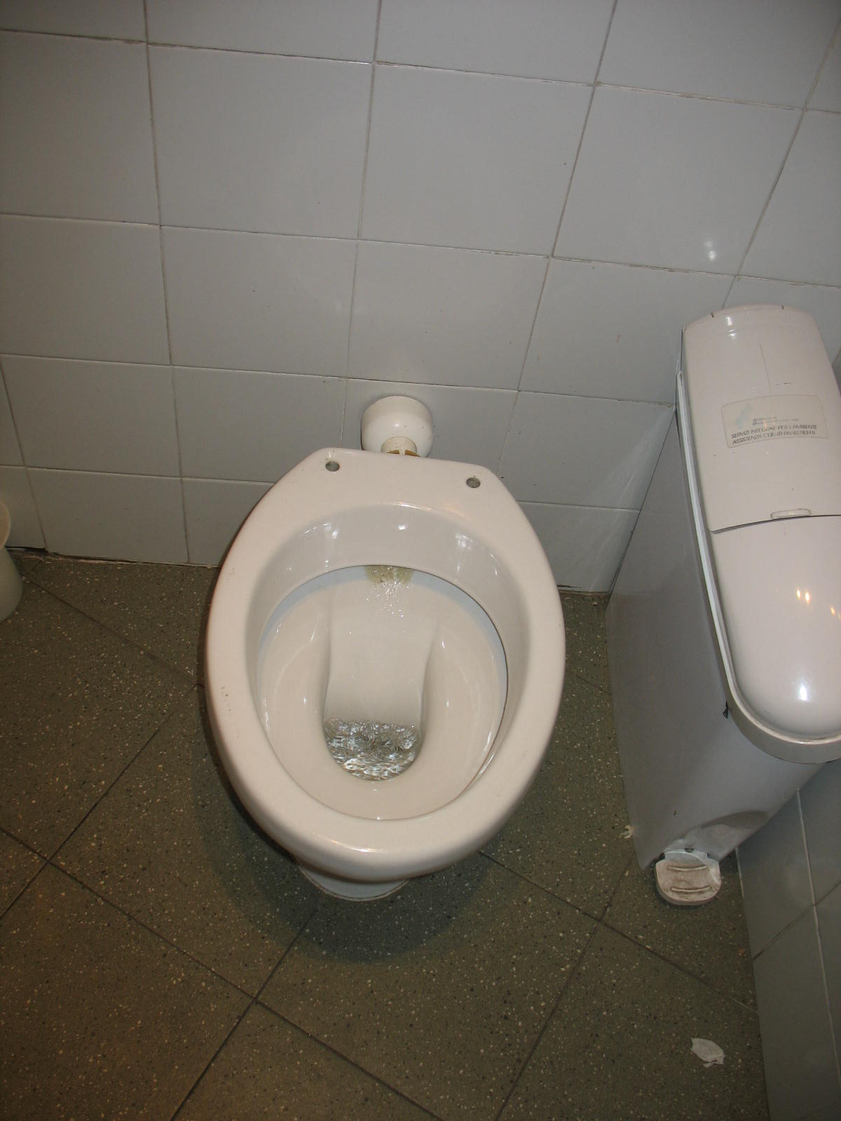 [Italy+September+2008+130+-1st+toilet+without+a+seat.JPG]