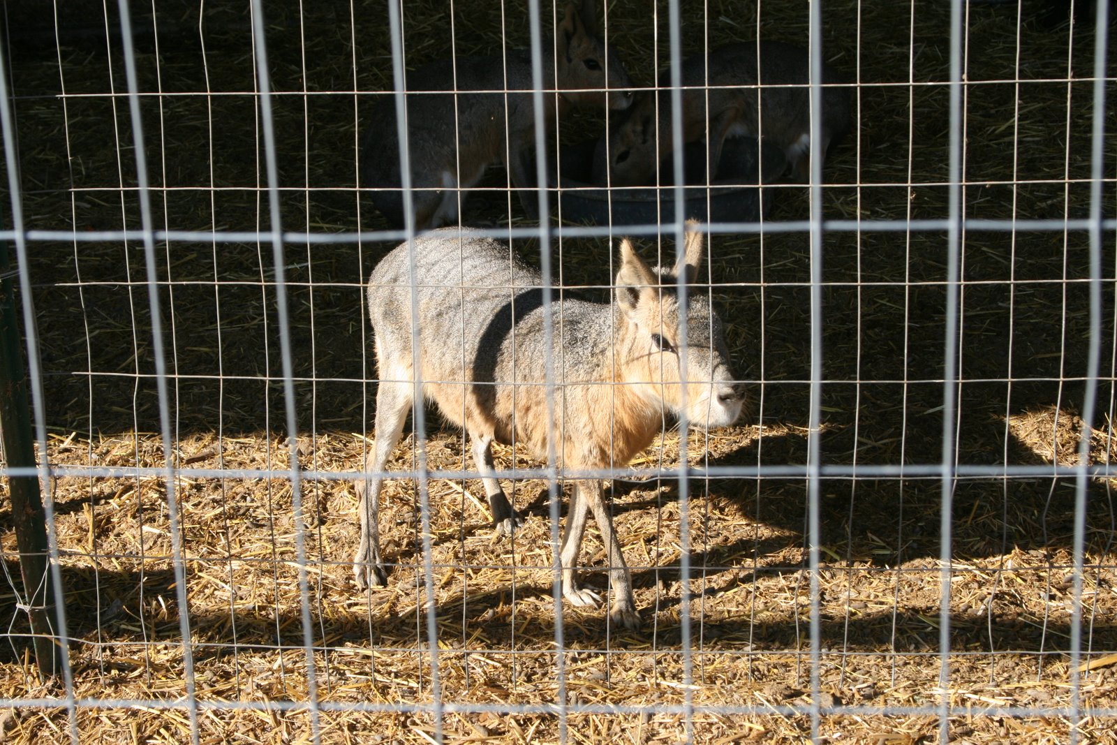 [IMG_2843.JPG]