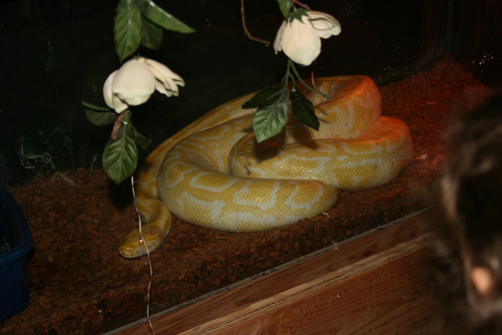 [IMG_3007.JPG]