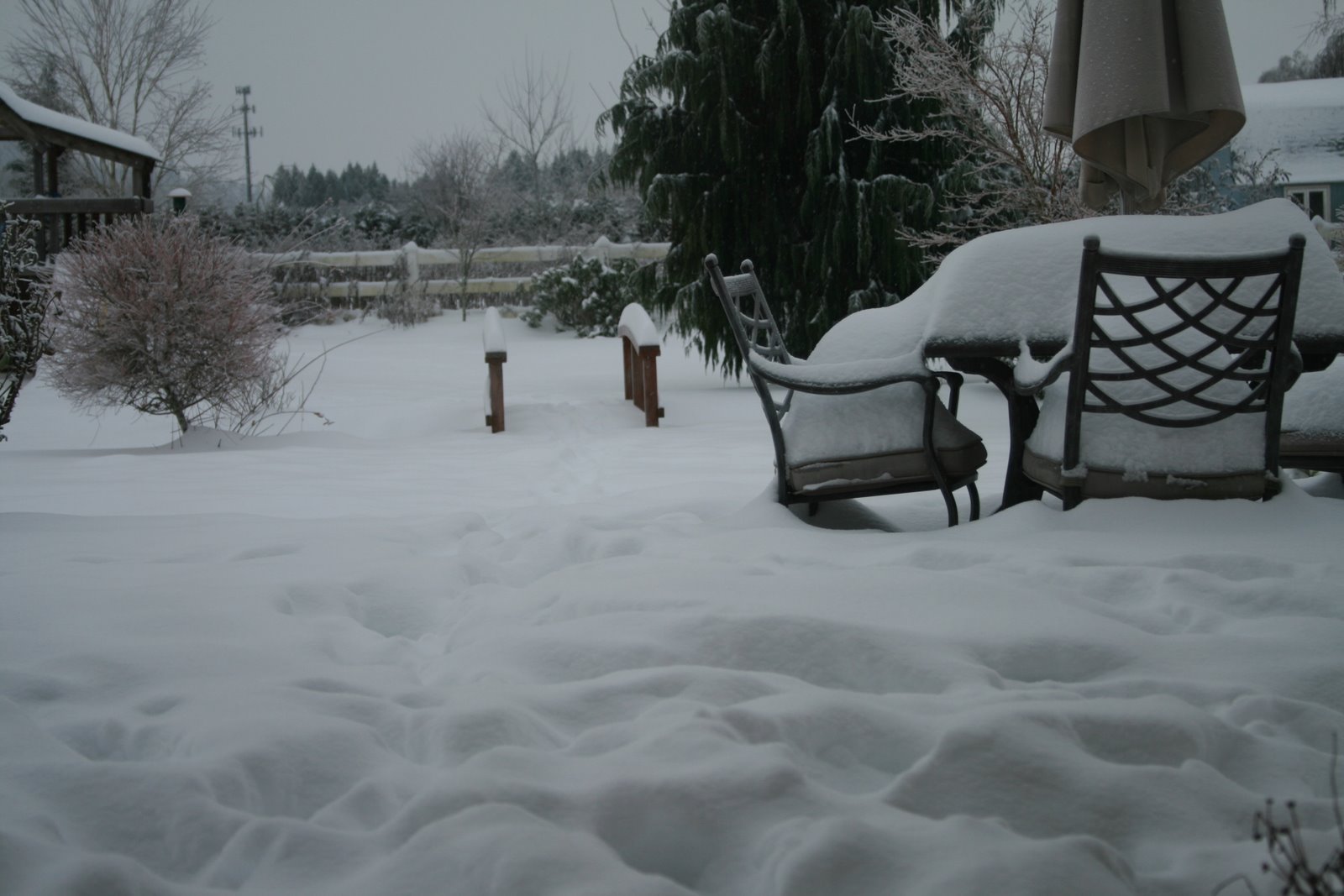 [IMG_3619.JPG]