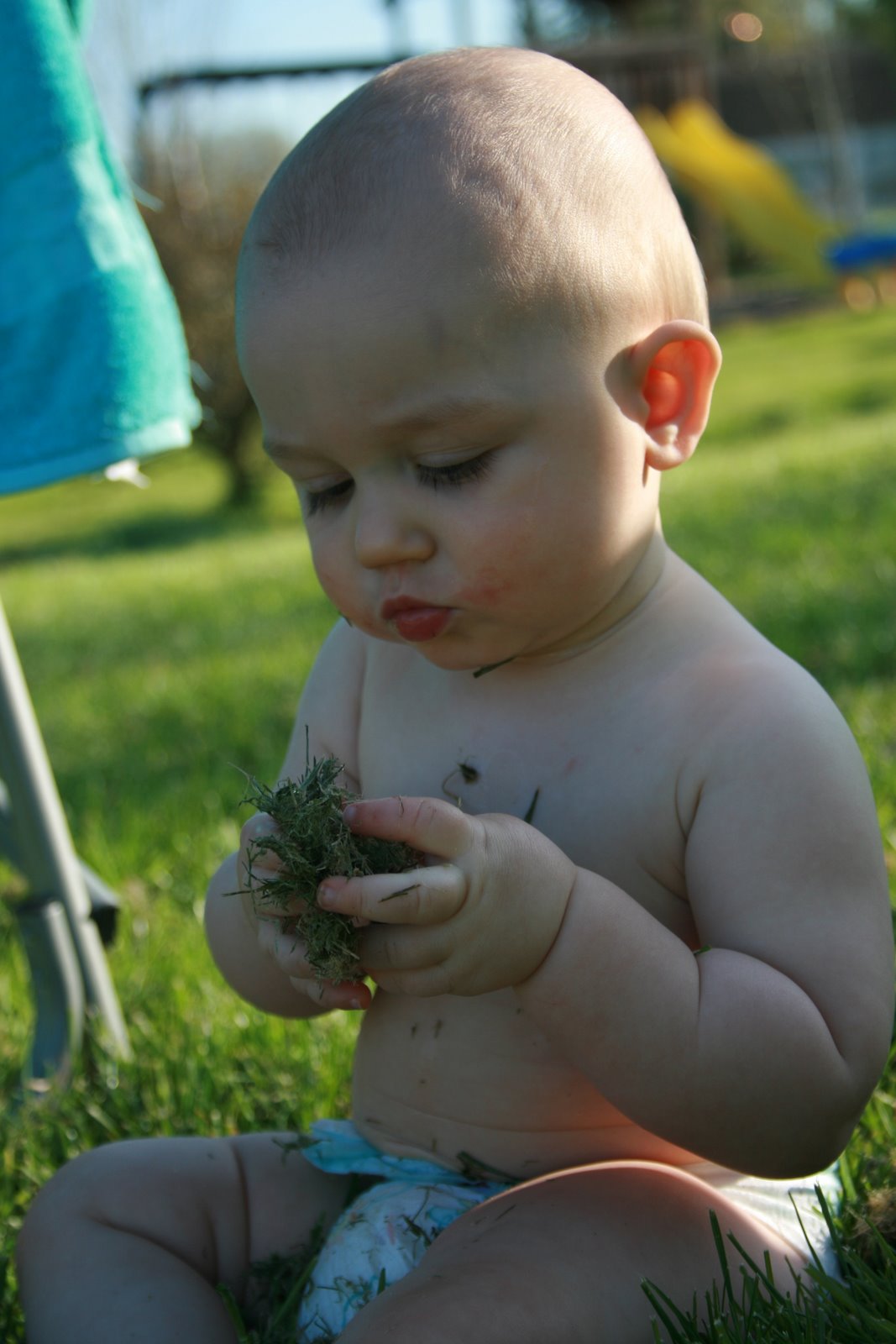 [IMG_5228.JPG]