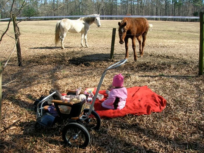 [Picnic+with+the+Horses.jpg]