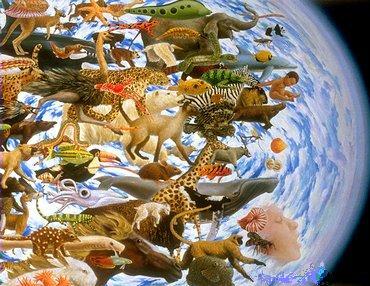 [biodiversidade2.JPG]