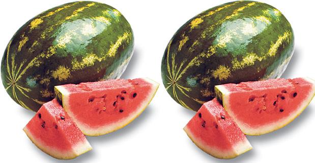 [watermelon.JPG]