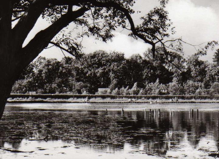 Muhlhausen Geschichte Und Mehr 34 Gartenlokale In Muhlhausen