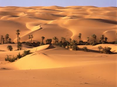 [Desert+Oasis,+Libya.jpg]