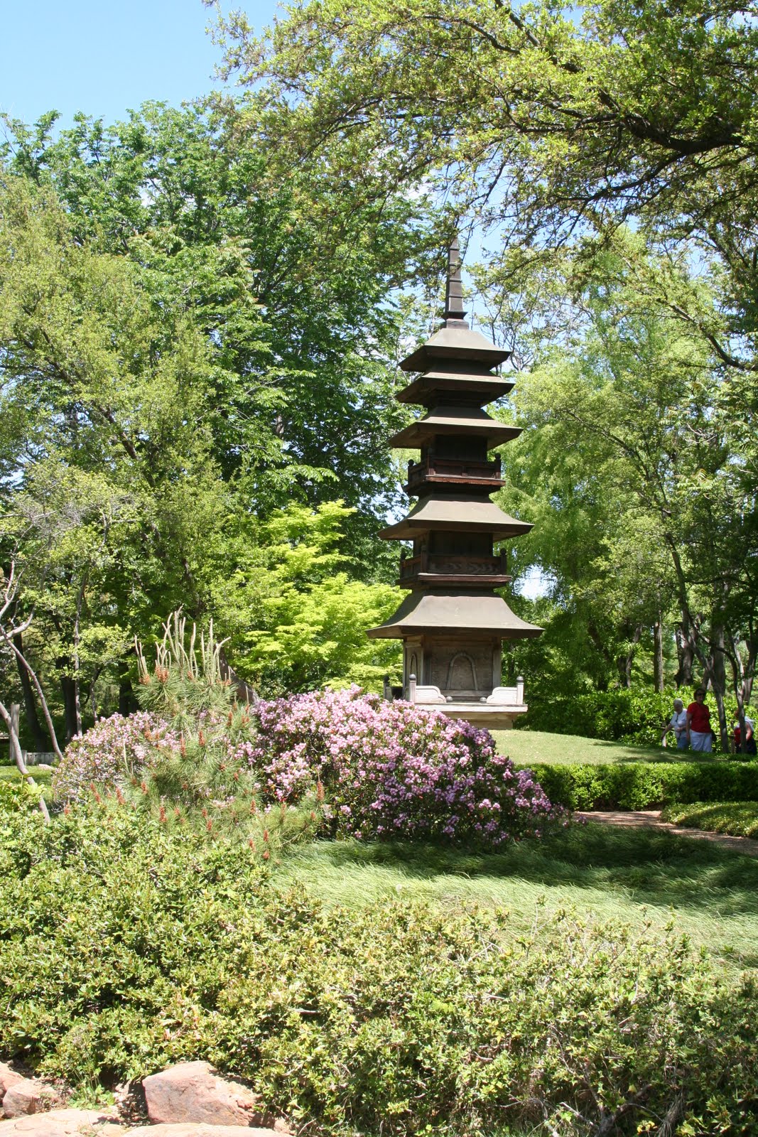 Adventures of Amy: Japanese Gardens-- Fort Worth Botanical Gardens