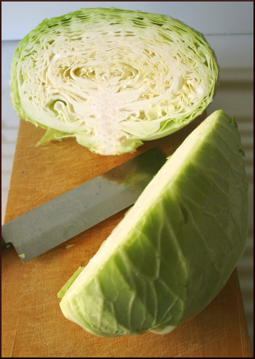 Symposion: Pasta al forno con cavolo cappuccio