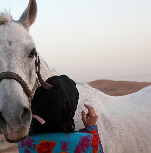 أحب عسف المهرة الي تغلى أحب عسف المهـرة الـي تغلـى واحب ار Flickr