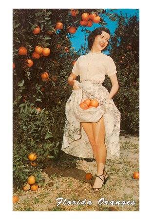 [FL-00982-C~Lady-with-Oranges-Florida-Posters.jpg]