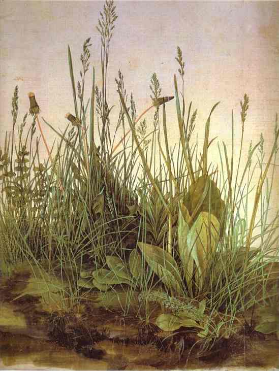 [turf+Durer.jpg]
