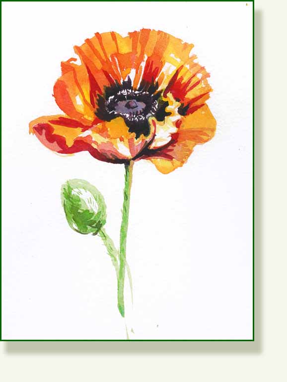 [poppy+colour.jpg]
