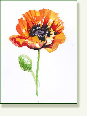 Pencil and Leaf: Leaf of the Day: 1 hour Poppy