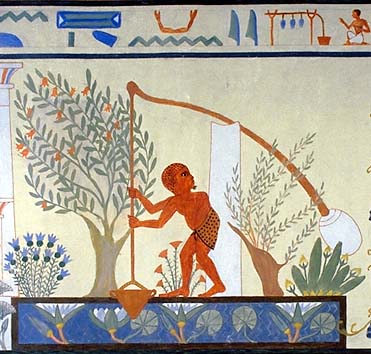 [pom+egypt.jpg]
