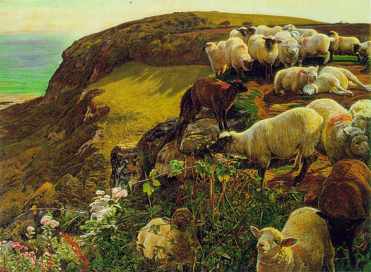 [our+english+coasts.jpg]
