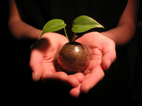 [seedling-by-brett-duncan.jpg]