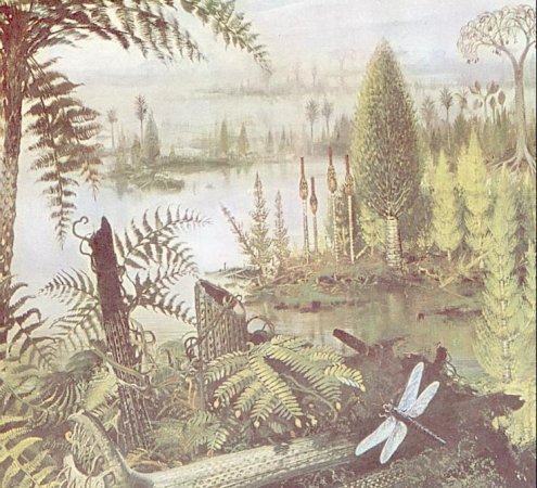 [I10-68-Carboniferous.jpg]