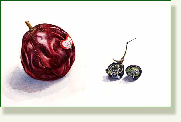 [passion+fruit.jpg]