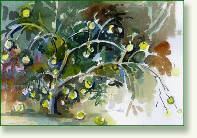 [lemon+citron4.jpg]