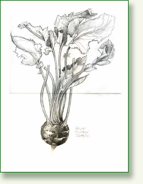[kohl2+pencil.jpg]